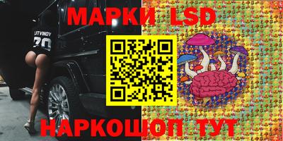 apvp Пугачёв