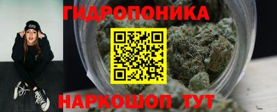 МДПВ Пушкино