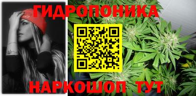 МДПВ Пушкино