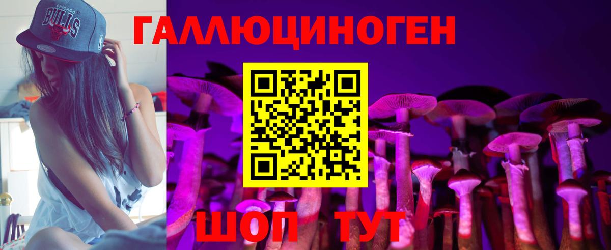 Сургут  цены наркотик  Галлюциногенные грибы прущие грибы  Вход с VPN  Псилоцибиновые грибы Psilocybe 