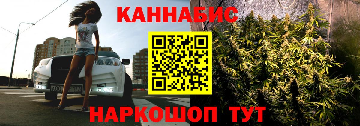 Каннабис индика Сургут